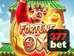 Download 377BET Windows